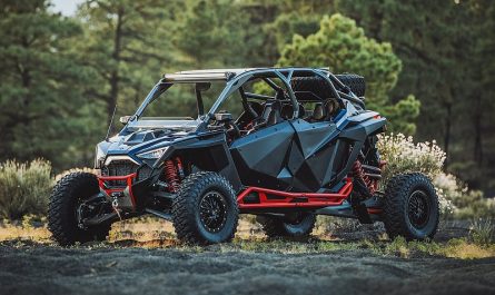 Polaris_RZR