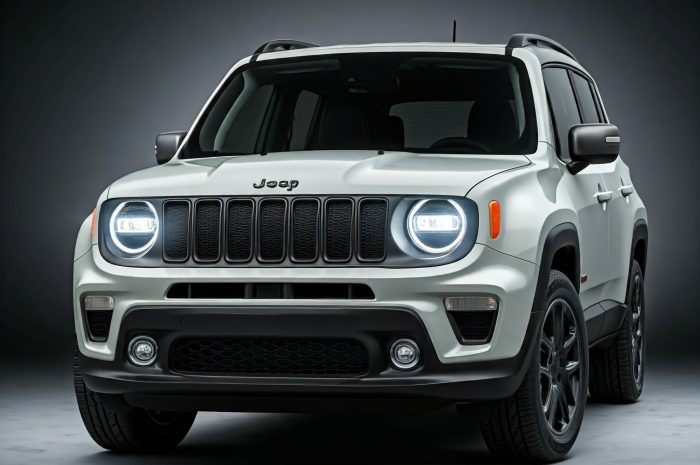 2025 Jeep Renegade: Review, Price And Performance