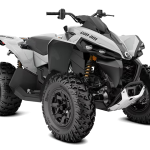 can-am renegade 650