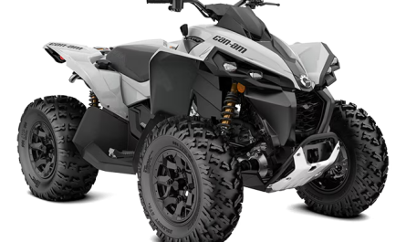 can-am renegade 650