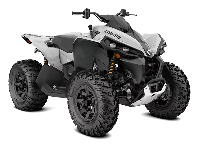 can-am renegade 650