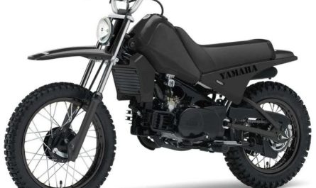 yamaha pw 80