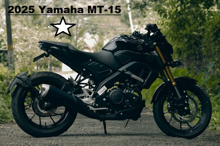 2025 Yamaha MT-15: Features, Specs, Performance And Price