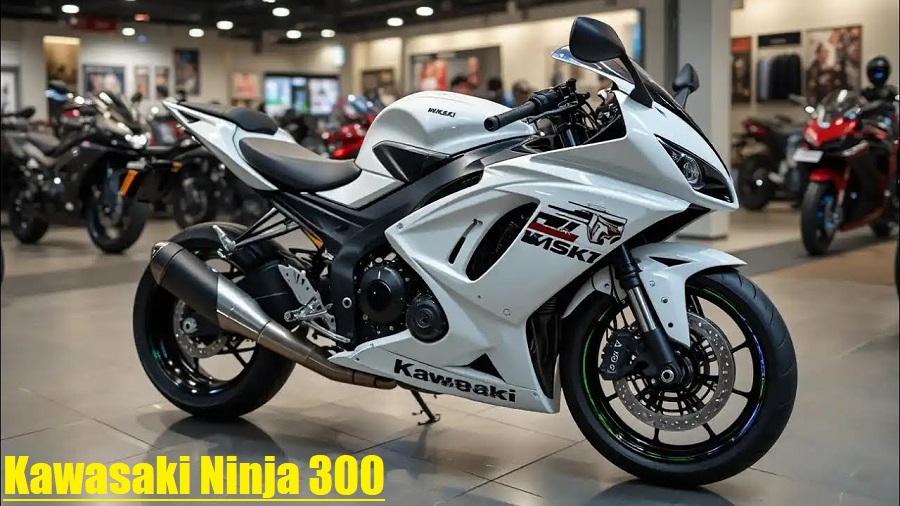 Kawasaki Ninja 300 