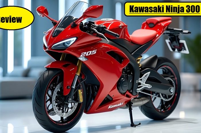 Kawasaki Ninja 300 Review: Performance, Feature And Price