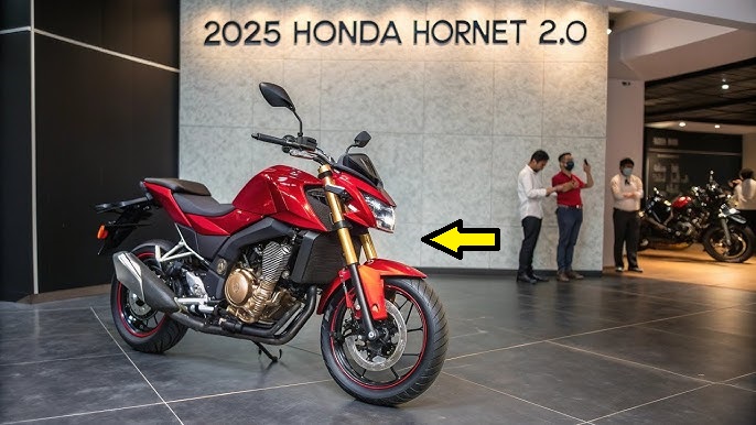 Honda Hornet 2.0