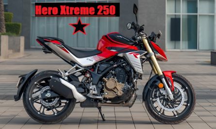 Hero Xtreme 250