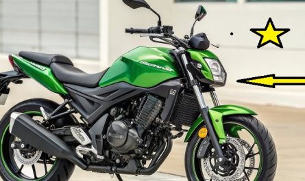 Honda CV 125 Hornet