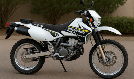 suzuki boulevard DR-Z400S