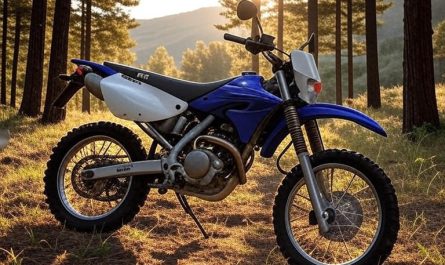 Yamaha WR250F